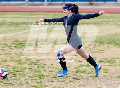 Thumbnail 1 in Cactus Shadows @ McClintock photogallery.