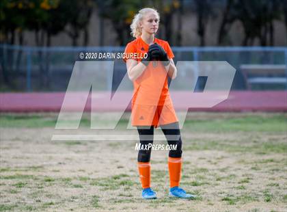 Thumbnail 2 in Cactus Shadows @ McClintock photogallery.