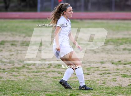 Thumbnail 1 in Cactus Shadows @ McClintock photogallery.