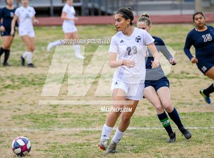Thumbnail 1 in Cactus Shadows @ McClintock photogallery.