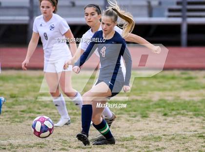 Thumbnail 2 in Cactus Shadows @ McClintock photogallery.