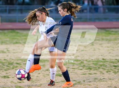 Thumbnail 2 in Cactus Shadows @ McClintock photogallery.