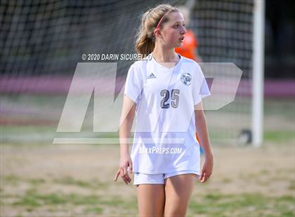 Thumbnail 1 in Cactus Shadows @ McClintock photogallery.