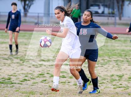 Thumbnail 3 in Cactus Shadows @ McClintock photogallery.