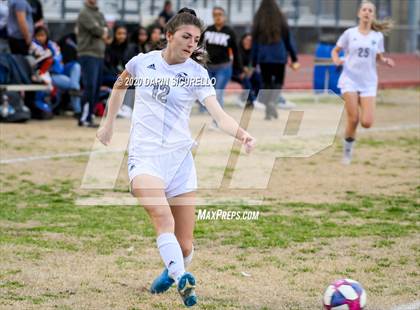 Thumbnail 2 in Cactus Shadows @ McClintock photogallery.