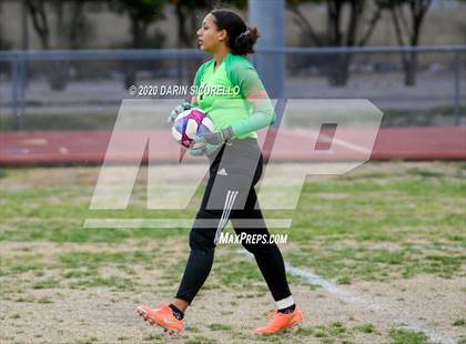 Thumbnail 2 in Cactus Shadows @ McClintock photogallery.