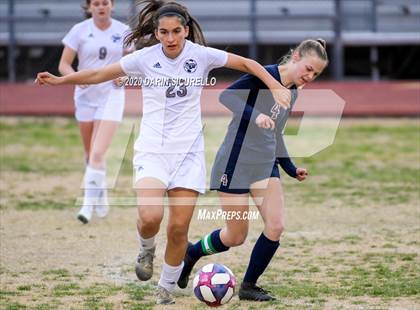 Thumbnail 1 in Cactus Shadows @ McClintock photogallery.
