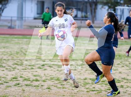 Thumbnail 1 in Cactus Shadows @ McClintock photogallery.