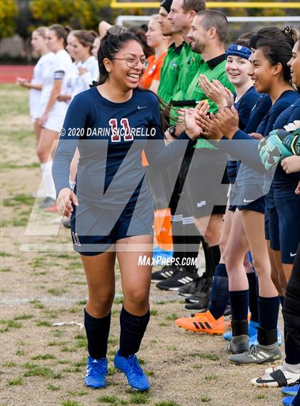 Thumbnail 1 in Cactus Shadows @ McClintock photogallery.