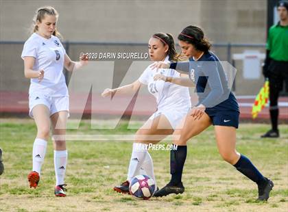 Thumbnail 1 in Cactus Shadows @ McClintock photogallery.