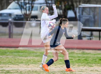 Thumbnail 1 in Cactus Shadows @ McClintock photogallery.