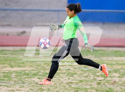 Thumbnail 2 in Cactus Shadows @ McClintock photogallery.