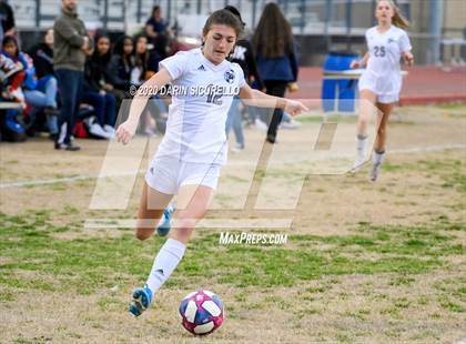 Thumbnail 1 in Cactus Shadows @ McClintock photogallery.