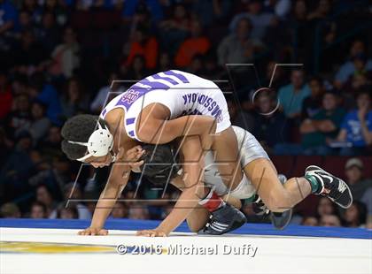 Thumbnail 2 in CIF State Boys Wrestling Championships (Finals) photogallery.