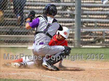 Thumbnail 2 in Santa Maria @ Righetti photogallery.