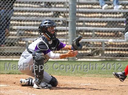 Thumbnail 1 in Santa Maria @ Righetti photogallery.