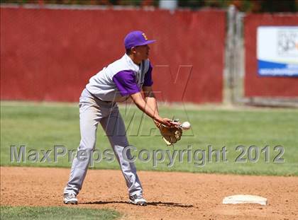 Thumbnail 2 in Santa Maria @ Righetti photogallery.