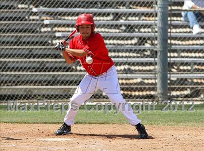 Thumbnail 1 in Santa Maria @ Righetti photogallery.