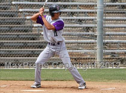 Thumbnail 2 in Santa Maria @ Righetti photogallery.