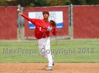 Thumbnail 1 in Santa Maria @ Righetti photogallery.