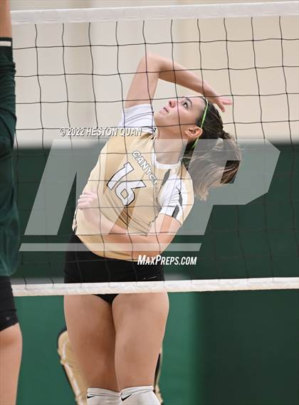 Thumbnail 3 in Canyon @ Brea Olinda photogallery.