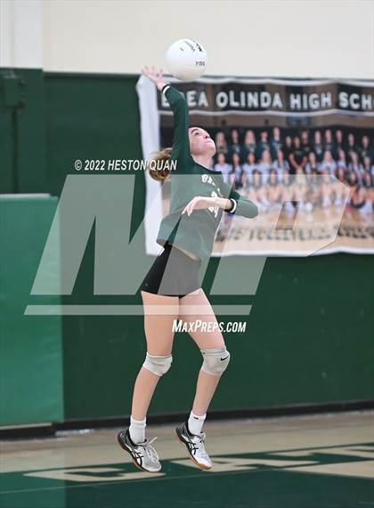 Thumbnail 3 in Canyon @ Brea Olinda photogallery.
