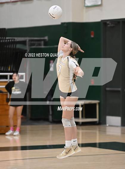 Thumbnail 3 in Canyon @ Brea Olinda photogallery.
