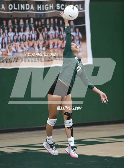 Thumbnail 1 in Canyon @ Brea Olinda photogallery.