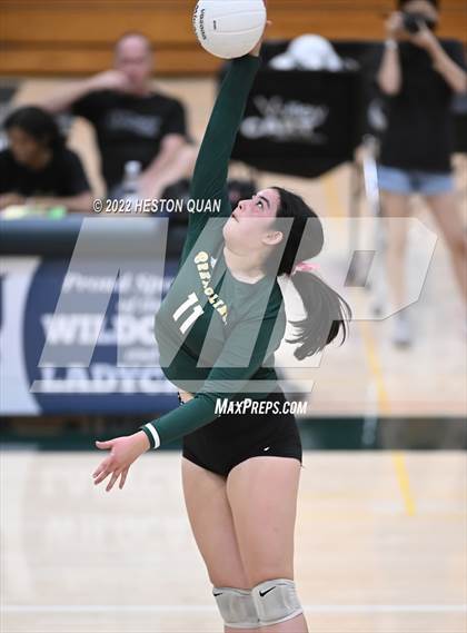Thumbnail 3 in Canyon @ Brea Olinda photogallery.