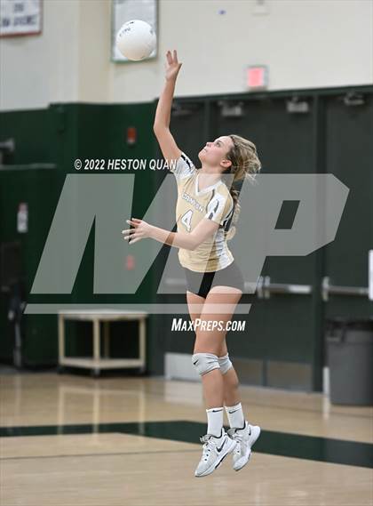 Thumbnail 2 in Canyon @ Brea Olinda photogallery.
