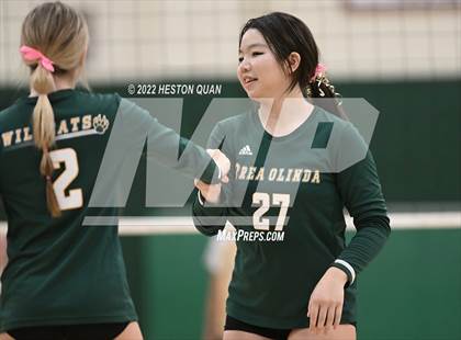 Thumbnail 3 in Canyon @ Brea Olinda photogallery.