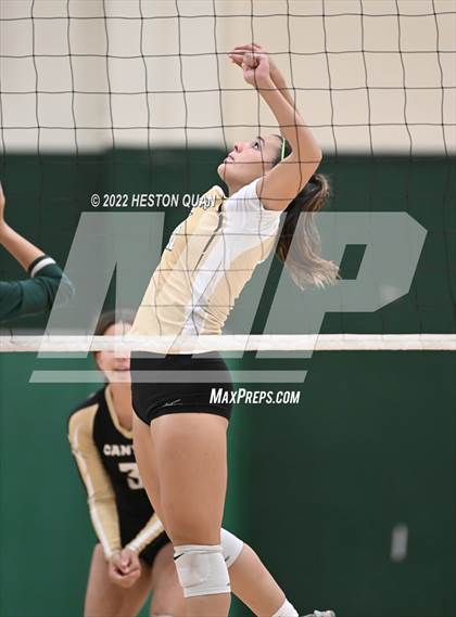 Thumbnail 3 in Canyon @ Brea Olinda photogallery.