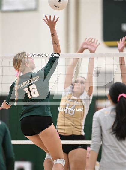 Thumbnail 2 in Canyon @ Brea Olinda photogallery.