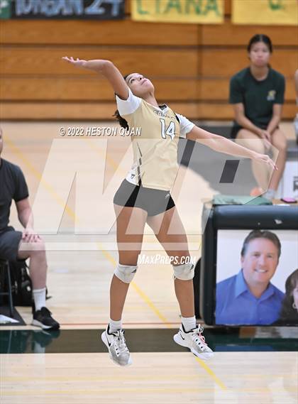 Thumbnail 1 in Canyon @ Brea Olinda photogallery.