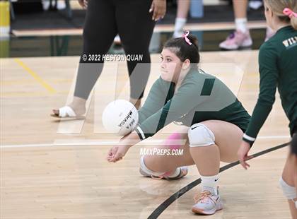 Thumbnail 3 in Canyon @ Brea Olinda photogallery.