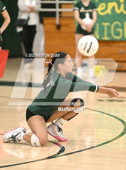 Thumbnail 2 in Canyon @ Brea Olinda photogallery.