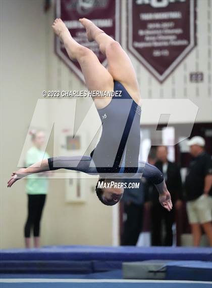 Thumbnail 1 in THSGCA State Meet (Floor Exercise- Optional) photogallery.