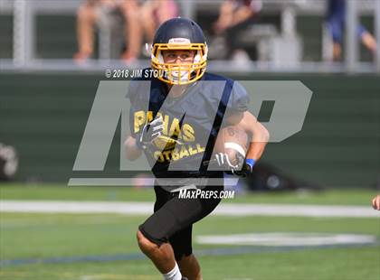 Thumbnail 3 in Brewster vs. Panas (Brewster Jamboree) photogallery.