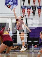 Photo from the gallery "Vintage @ Petaluma"