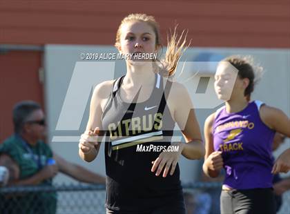 Thumbnail 1 in Hernando Citrus Classic photogallery.