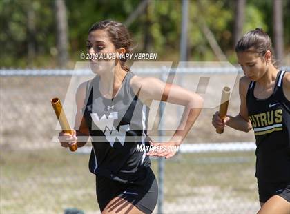 Thumbnail 1 in Hernando Citrus Classic photogallery.
