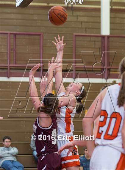 Thumbnail 2 in Harbor Creek vs Cranberry Area (Don Hall Memorial) photogallery.