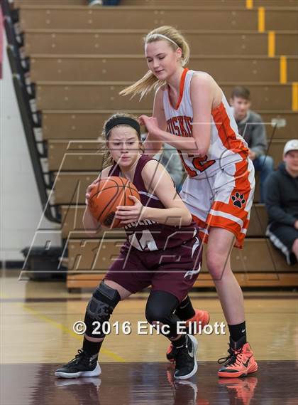 Thumbnail 3 in Harbor Creek vs Cranberry Area (Don Hall Memorial) photogallery.