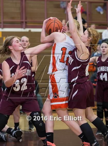 Thumbnail 1 in Harbor Creek vs Cranberry Area (Don Hall Memorial) photogallery.