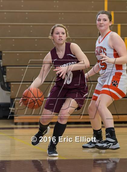 Thumbnail 2 in Harbor Creek vs Cranberry Area (Don Hall Memorial) photogallery.