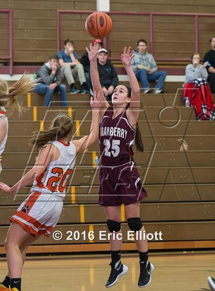 Thumbnail 3 in Harbor Creek vs Cranberry Area (Don Hall Memorial) photogallery.