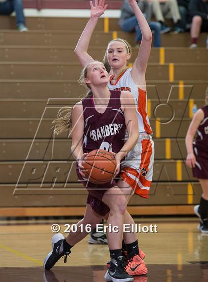 Thumbnail 2 in Harbor Creek vs Cranberry Area (Don Hall Memorial) photogallery.