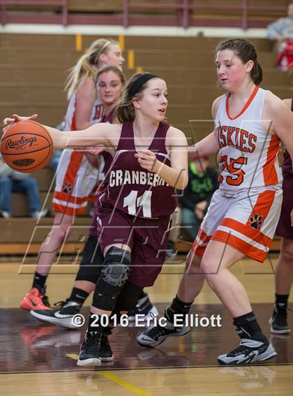 Thumbnail 2 in Harbor Creek vs Cranberry Area (Don Hall Memorial) photogallery.