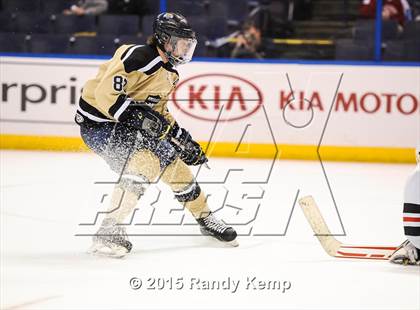 Thumbnail 1 in Fox vs Howell North (Wickenheiser Cup Final) photogallery.