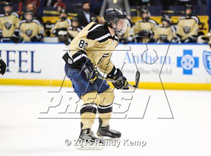 Thumbnail 1 in Fox vs Howell North (Wickenheiser Cup Final) photogallery.